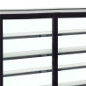 Vitrine Hladilni Pult 2 Vrata Črna - 400 L | TEFCOLD LPD1503F