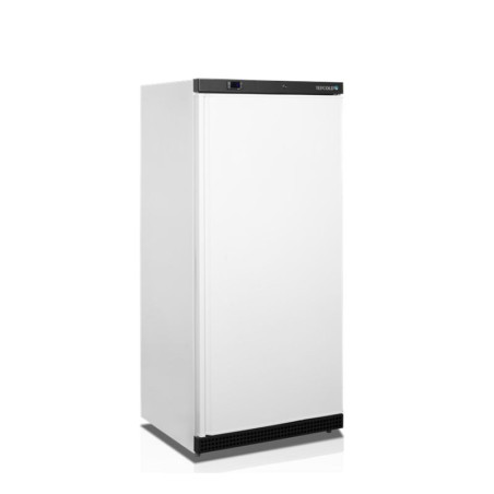 Armoire Réfrigérée Négative TEFCOLD - Bela, 420L | Fourniresto