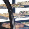 Vitrine Hladilni Pult 2 Steklena Vrata Črna - TEFCOLD LCT900C/BLACK