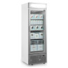 Vitrine Zamrzovalnik s Steklenimi Vrati s Srebrnim Nadstreškom - 440L TEFCOLD: optimalna predstavitev vaših zamrznjenih izdelkov