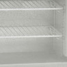 Congelator Table Top Bela 1 Steklena Vrata - 88 L Tefcold: zmogljivost in profesionalne funkcionalnosti.