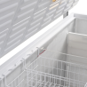 Zamrzovalna skrinja - Bela - 600 L | TEFCOLD CF700 SL
