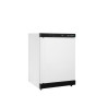 Armoire Réfrigérée Négative TEFCOLD Blanc - 120 L: Strokovnjaki za kuhinjo, kakovost in praktičnost.