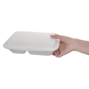 Škatle 2 predelka iz bagasa, kompostabilne, 253 mm - paket 200