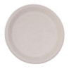 Krožniki ovalne oblike iz kompostabilne bagasse, 198 mm - paket 50 kosov, profesionalne kakovosti