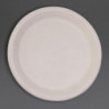 Krožniki ovalne oblike iz kompostabilne bagasse, 198 mm - paket 50 kosov, profesionalne kakovosti