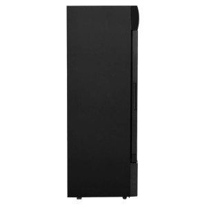 Hladilna vitrina za pijače - 300 L - Dynasteel
