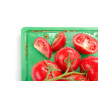 Deska za rezanje HACCP Gastronorm 1/1 - Blagovna znamka HENDI - Fourniresto
