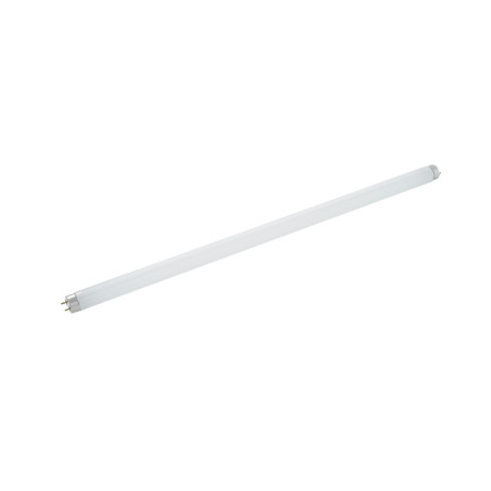 Zamenjava cevastega neonke za muholovko dolžine 65 cm.