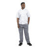 Hlače za kuharje Vegas v modri in beli barvi s karirastim vzorcem - velikost L - Whites Chefs Clothing - Fourniresto