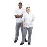 Hlače za kuharje Vegas v modri in beli barvi s karirastim vzorcem - velikost L - Whites Chefs Clothing - Fourniresto