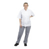 Hlače za kuharje Vegas v modri in beli barvi s karirastim vzorcem - velikost L - Whites Chefs Clothing - Fourniresto