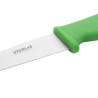 Nož za zelenjavo z zelenim rezilom 10 cm - Hygiplas - Fourniresto