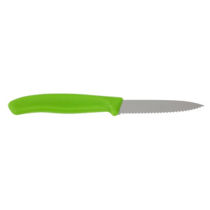 Nož za kuhinjo z zelenim ročajem in nazobčanim rezilom 8 cm - Victorinox - Fourniresto