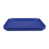 Plateau Fast Food En Plastique Bleu - Olympia KRISTALLON - Fourniresto