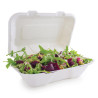 Škatle za kosilo iz bagase s pokrovom na tečaj - Š 228mm - Paket 200 - Vegware