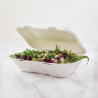 Škatle za kosilo iz bagase s pokrovom na tečaj - Š 228mm - Paket 200 - Vegware