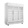 Pozitivna hladilna vitrina z 3 vrati - 1300 L - Polar