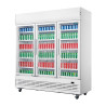 Pozitivna hladilna vitrina z 3 vrati - 1300 L - Polar