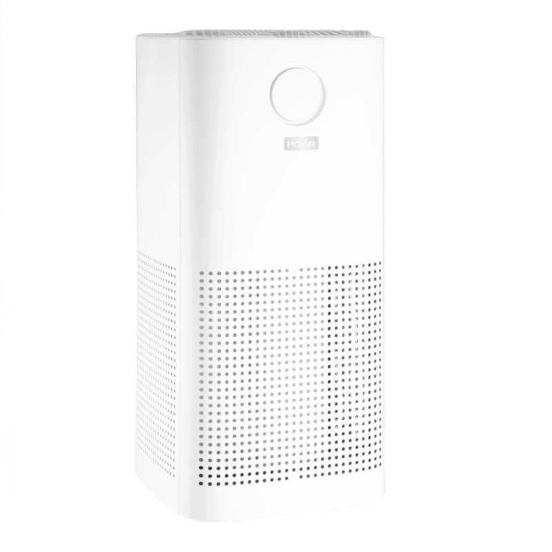 Polar DF655 : Purificateur d'air efficace pour une cuisine saine Polar DF655 : Purificateur d'air efficace pour une cuisine saine