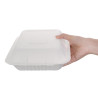 Kompostabilne škatle Bagasse 223mm - paket 200 kosov, okolju prijazne
