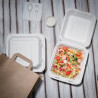 Kompostabilne škatle Bagasse 223mm - paket 200 kosov, okolju prijazne
