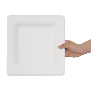 Krožniki iz bagasse 261 mm - Kompostabilni kvadratni - Paket 50 kosov - Eko in praktični