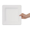Krožniki iz bagasse 261 mm - Kompostabilni kvadratni - Paket 50 kosov - Eko in praktični