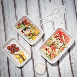 Kompostabilne posodice iz bagasse 340 ml - Eko-odgovorno, praktično