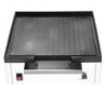 Električni žar iz litega železa - 1800 W - Buffalo