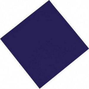 Papirnata modra prtiček za mizo 2-slojni 300 x 300 mm - paket 1500 - FourniResto - Fourniresto