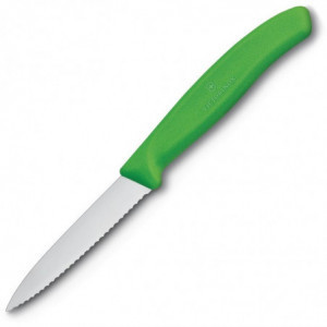 Nož za kuhinjo z zelenim ročajem in nazobčanim rezilom 8 cm - Victorinox - Fourniresto