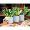 Ponovno uporabne nalepke za alergene - paket 20 - Olympia - Fourniresto