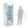 Hladilna vitrina s ventilatorjem -412L - Polar - Fourniresto
