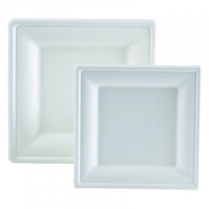 Krožnik iz bagasse - 200 x 200 mm - Paket 50