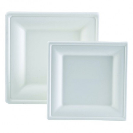 Krožnik iz bagasse - 200 x 200 mm - Paket 50