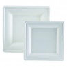 Krožnik iz bagasse - 200 x 200 mm - Paket 50