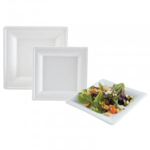 Krožnik iz bagasse - 200 x 200 mm - Paket 50